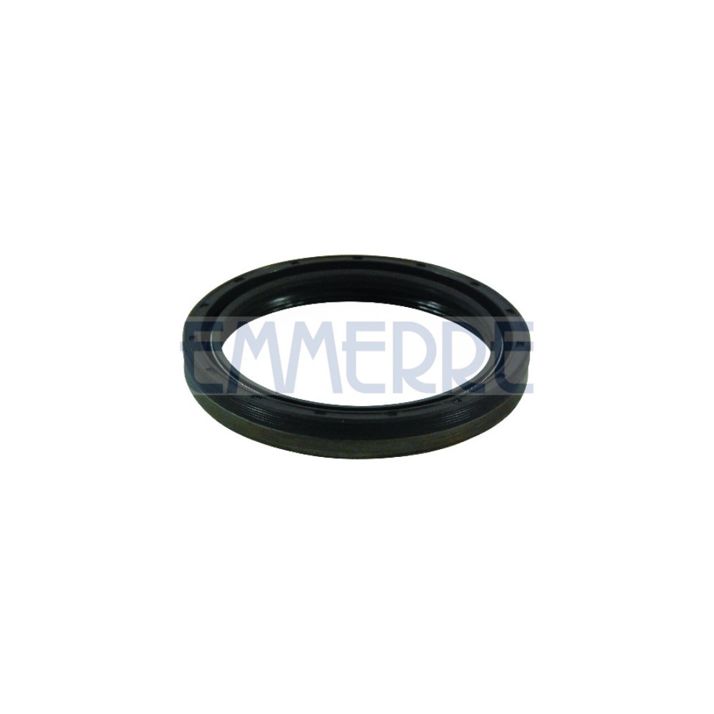 101408 - Differential Oil Seal Fpm