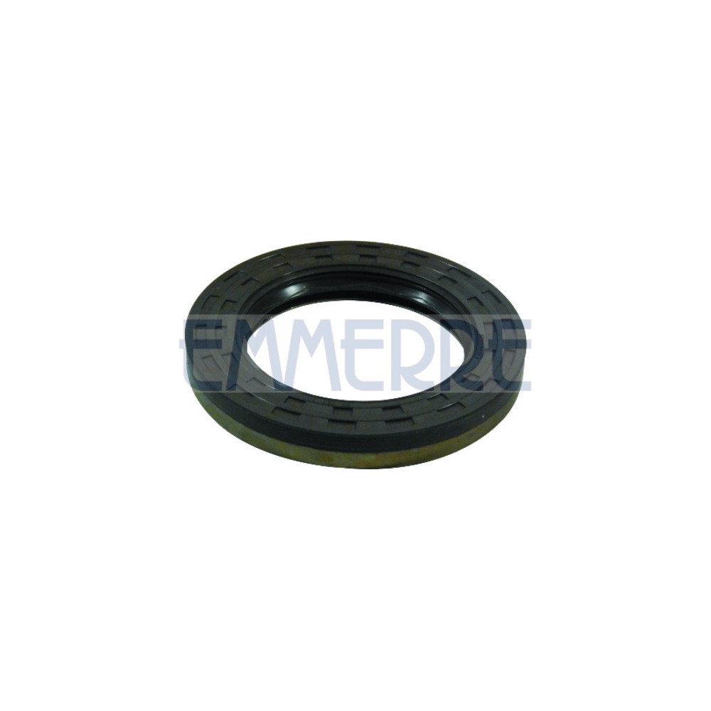 101410 - Differential Oil Seal Fpm