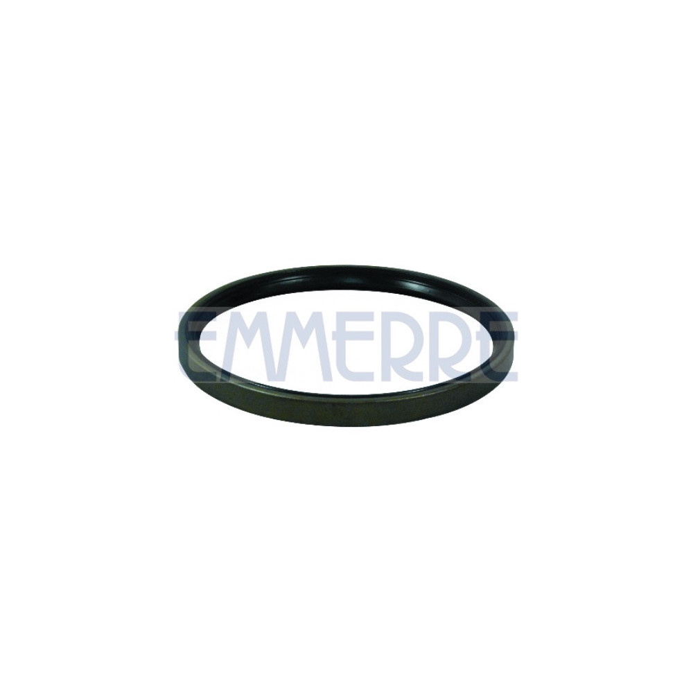 101509 - Rear Brake Wheel Hub Oil Seal Acm