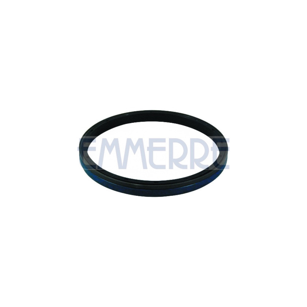 101511 - Rear Brake Wheel Hub Oil Seal Fpm