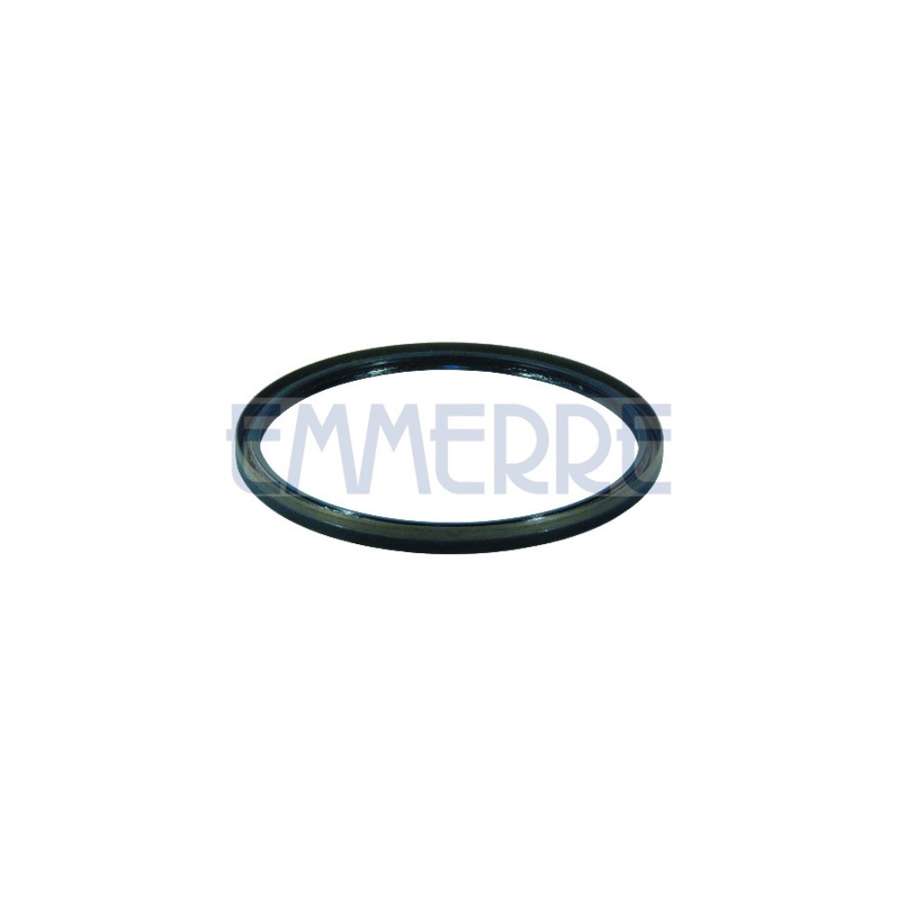 101519 - Rear Brake Wheel Hub Oil Seal Nbr