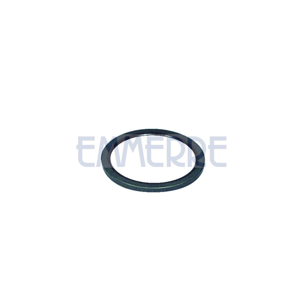 101556 - Brake Wheel Hub Oil Seal Fpm