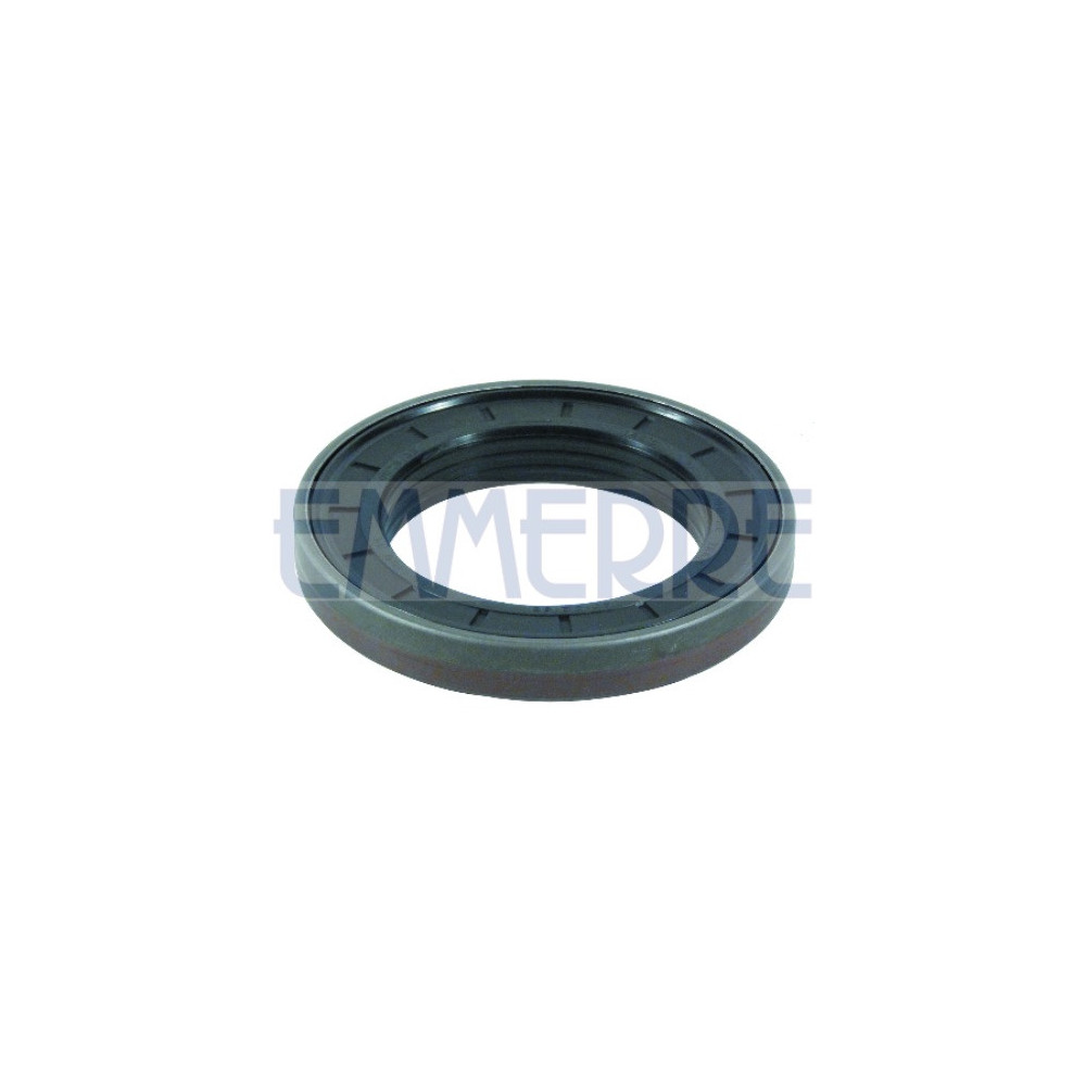 101581 - Differential Oil Seal Fpm