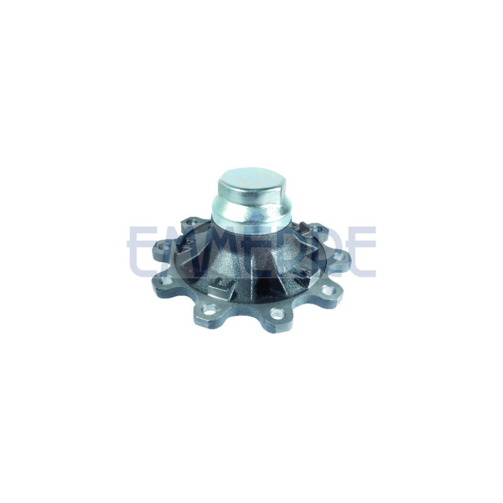 Wheel Hub With Bearings, Cover And Abs