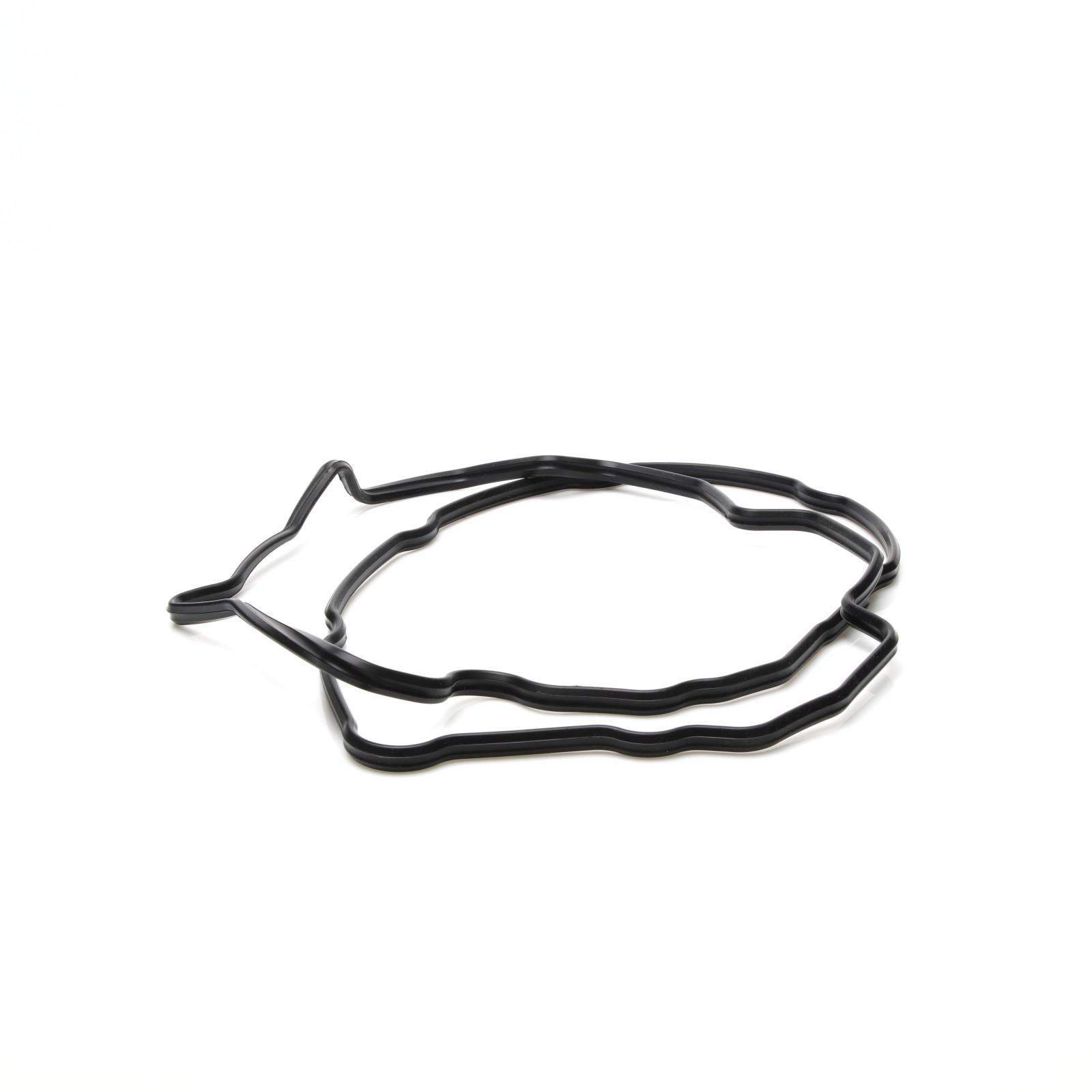 Original Iveco 504070040 Dichtung, Zylinderkopfhaube EuroCargo Tector 6-Zylinder