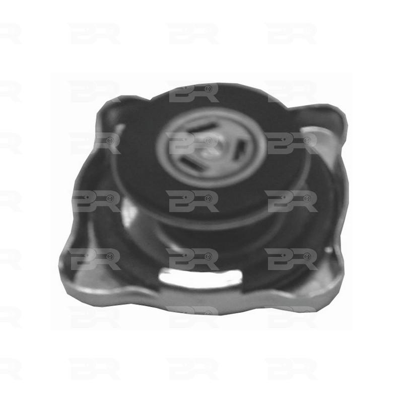 Botto Ricambi BRAC5407 Verschlussdeckel, Kühlmittelbehälter Iveco 4845407