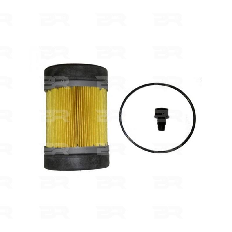 Botto Ricambi BRM1605 Urea Filter Iveco 42561605