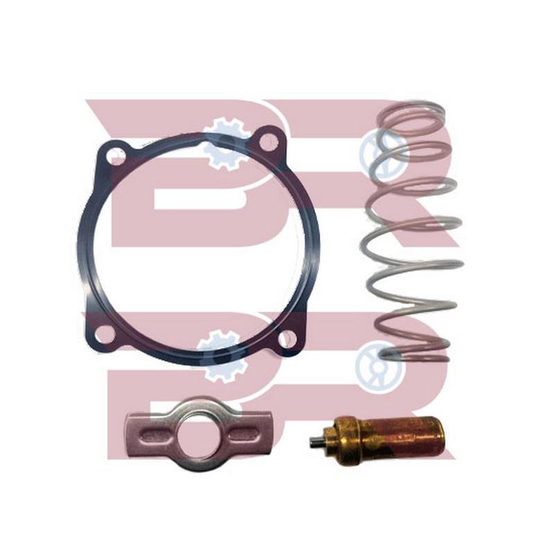 Botto Ricambi BRAC1087 Reparatursatz, Thermostat Iveco 504071087 Botto Ricambi BRAC1087 Reparatursatz, Thermostat Iveco 504071087