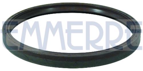 EMMERRE 101508 WELLENDICHTRING RADNABEN HINTEN FPM für Iveco 40101730 40101733