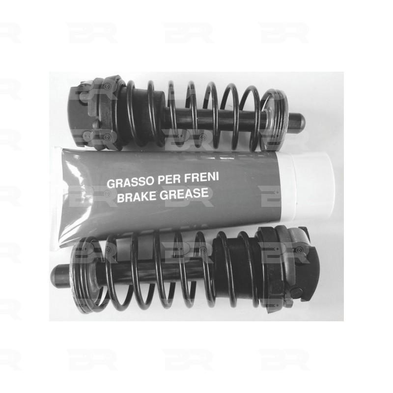 Botto Ricambi BRFR0407 Reparatursatz, Automatische Nachstellung Iveco 7980407