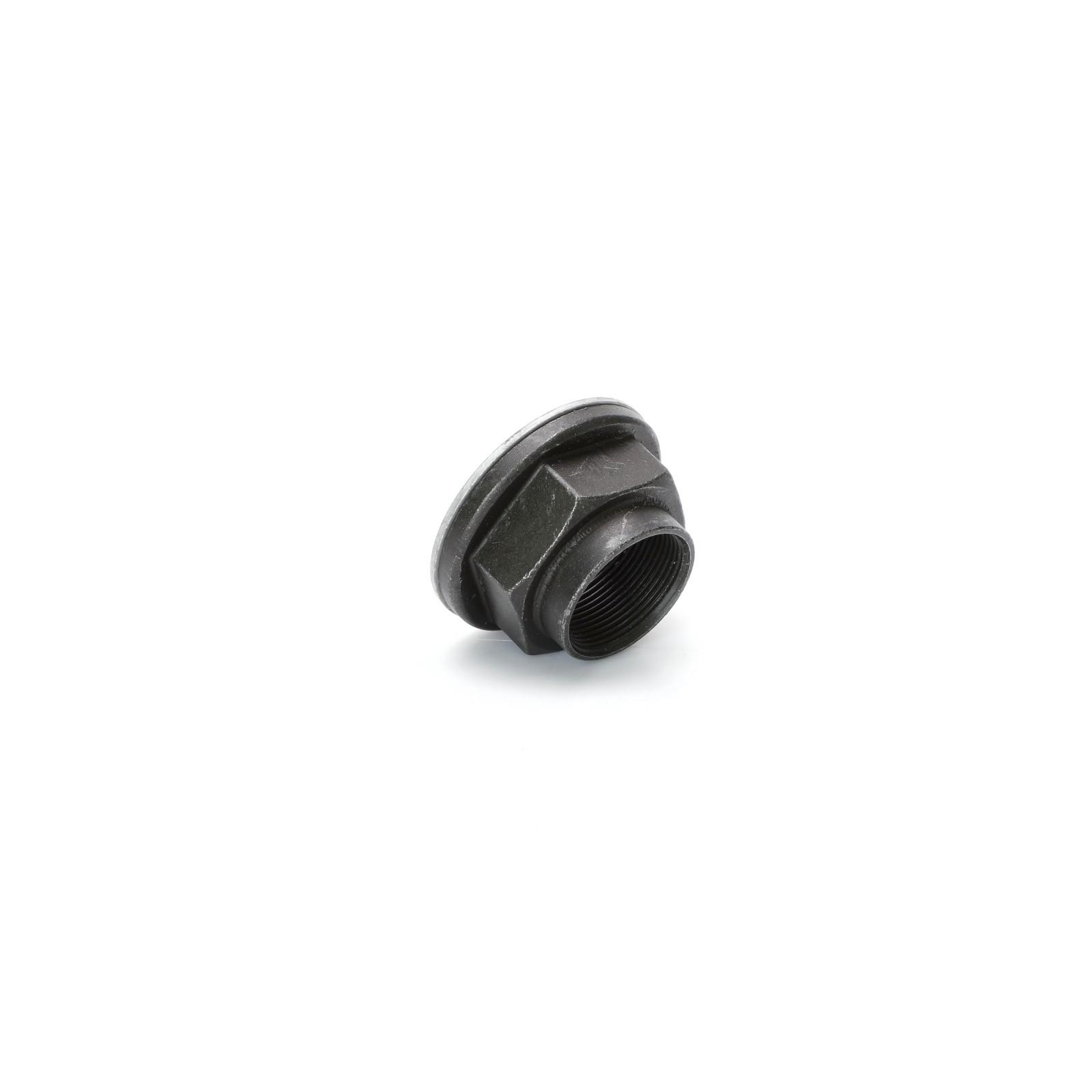 2x Original Iveco 504166180 Vorderradnabenmutter Daily 35C 40C 50C 2x Original Iveco 504166180 Vorderradnabenmutter Daily 35C 40C 50C