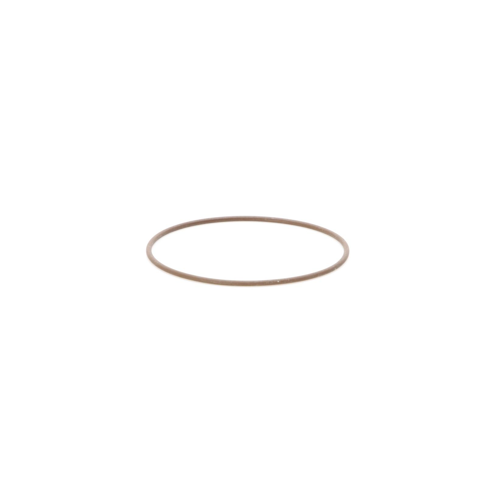 Original Iveco 17285681 Wasserpumpe Dichtung, O-Ring Daily 3.0 ab 2004, Ducato