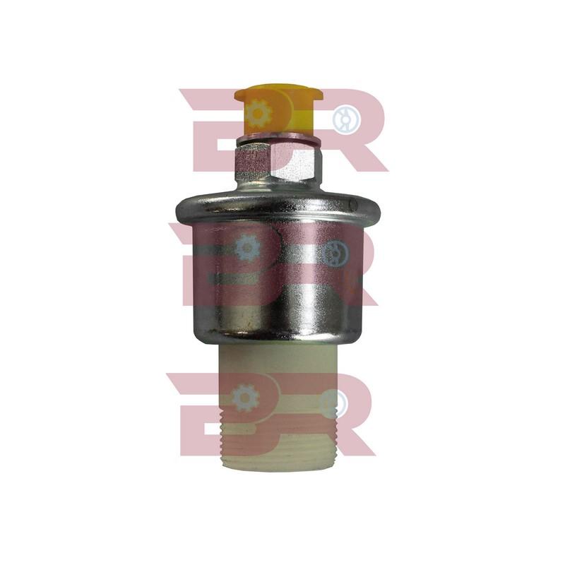 Botto Ricambi BREL7446 Öldrucksensor Iveco 2997446