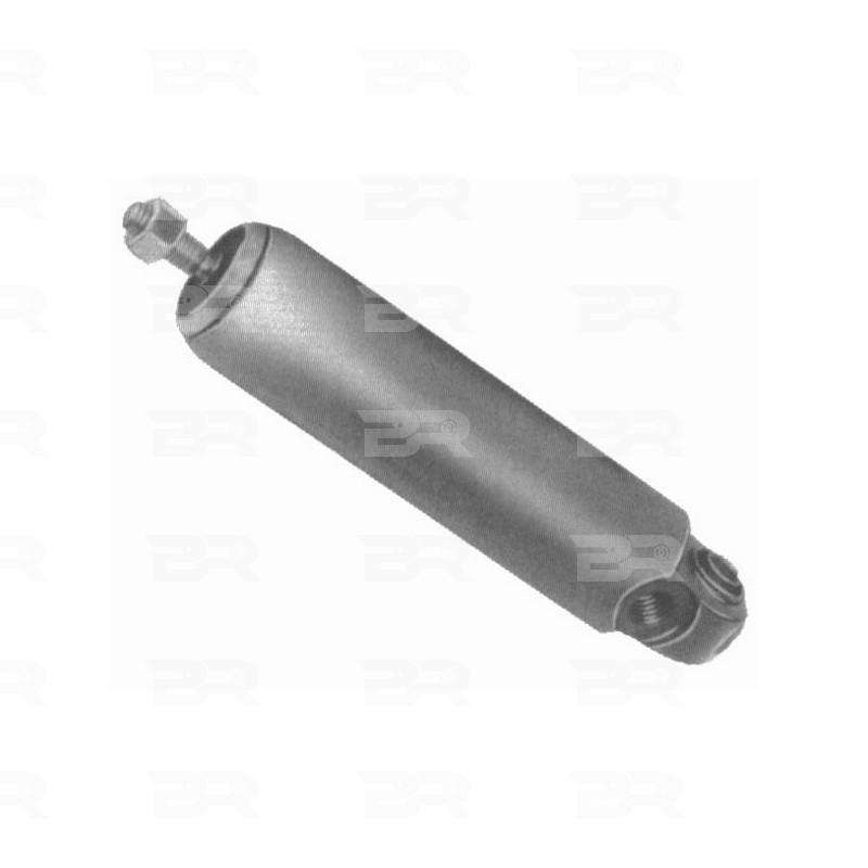 Botto Ricambi BRM2031 Slavenzylinder, Motorpause Iveco 41022031 Botto Ricambi BRM2031 Slavenzylinder, Motorpause Iveco 41022031