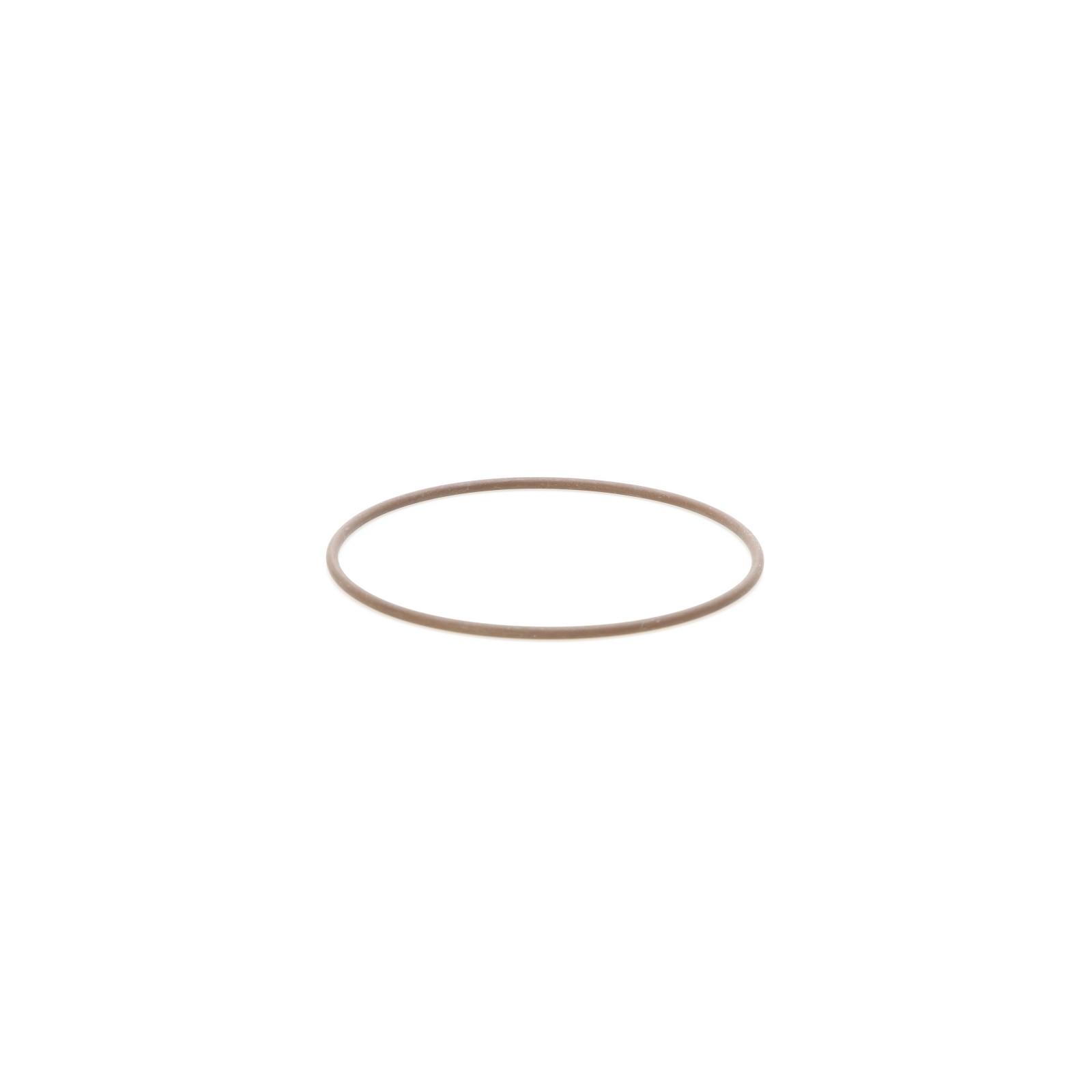 Original Iveco 17285681 Wasserpumpe Dichtung, O-Ring Daily 3.0 ab 2004, Ducato