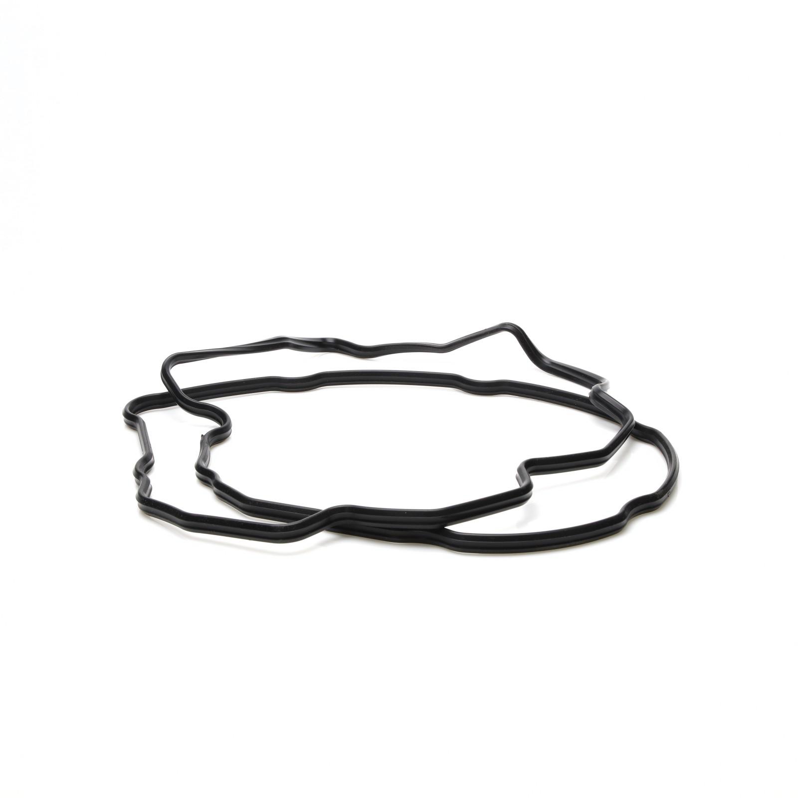 Original Iveco 504070040 Dichtung, Zylinderkopfhaube EuroCargo Tector 6-Zylinder