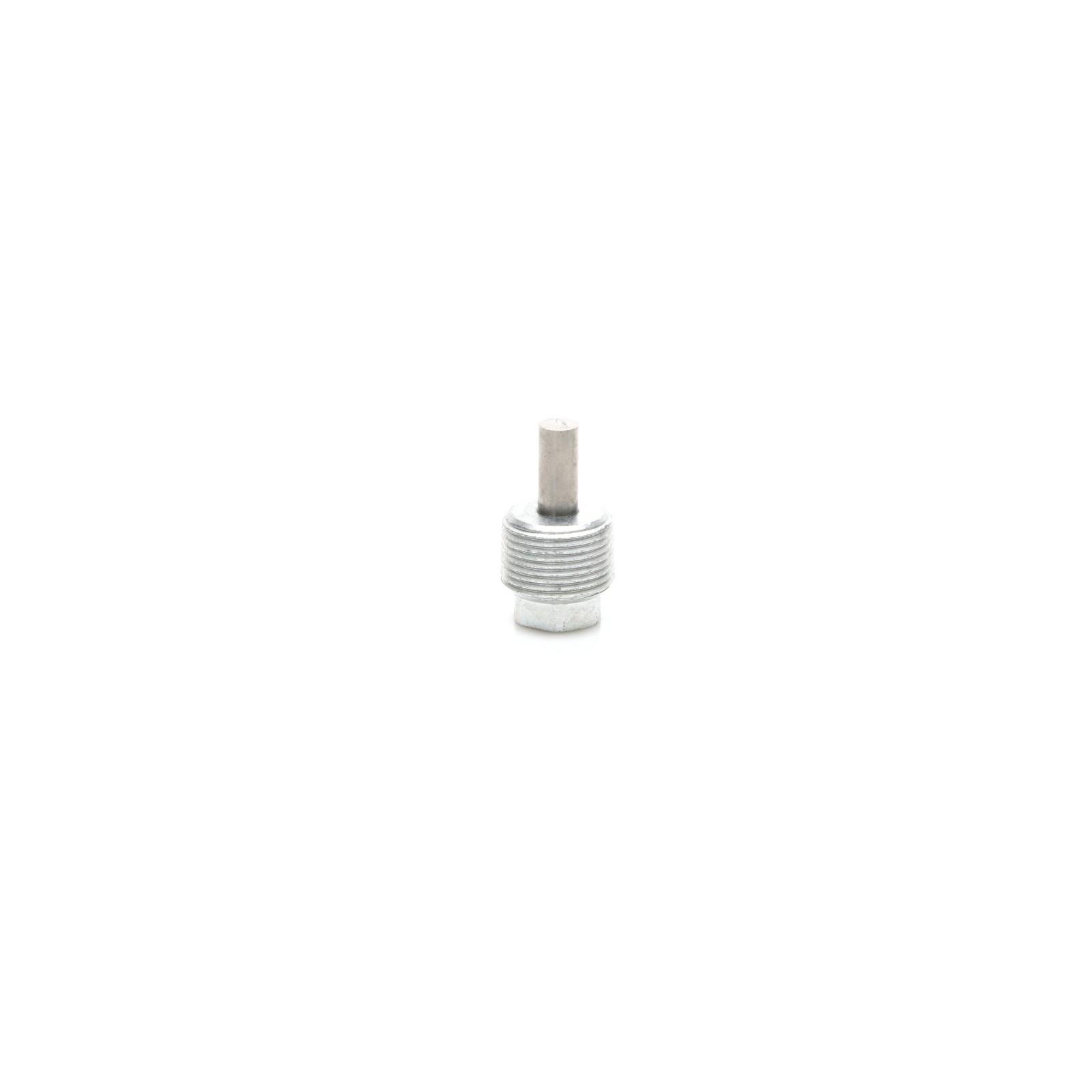 Original Iveco 7181244 Differentialablassschraube M22 x 1,5 mm Daily ab 2006
