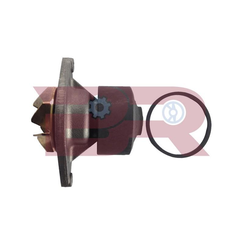 Botto Ricambi BRAC2854 Wasserpumpe Iveco 504062854 Botto Ricambi BRAC2854 Wasserpumpe Iveco 504062854