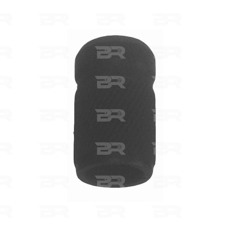 Botto Ricambi BRFR0058 Führunghülse, Bremssattel Iveco 42480058