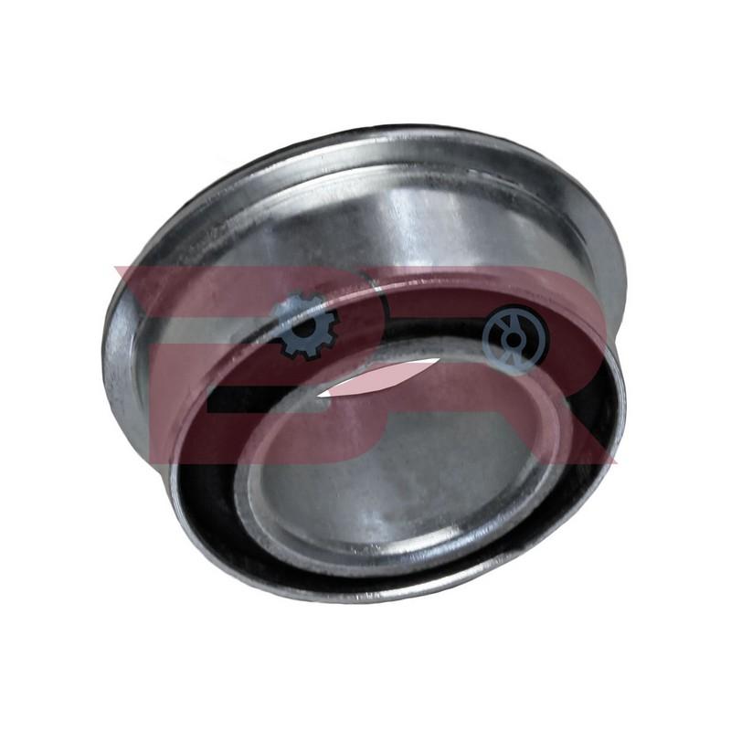 Botto Ricambi BRS0343 Buchse, Federauge Iveco 500350343