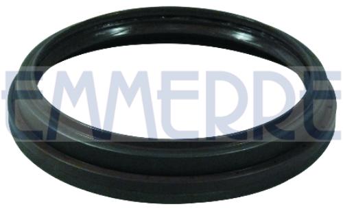 EMMERRE 101567 WELLENDICHTRING RADNABEN VORNE FPM für Iveco 40102103 40101123