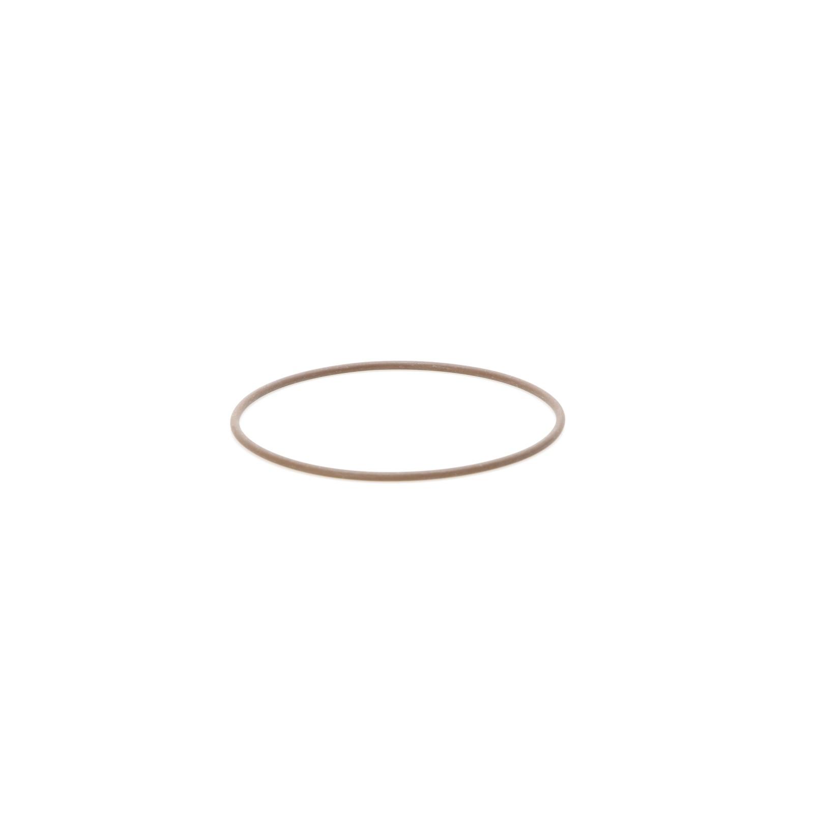 Original Iveco 17285681 Wasserpumpe Dichtung, O-Ring Daily 3.0 ab 2004, Ducato