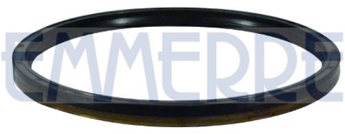 EMMERRE 101507 WELLENDICHTRING RADNABEN HINTEN FPM für Iveco 40003730 40100670
