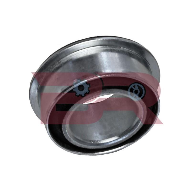 Botto Ricambi BRS0342 Lagerung, Lenker Iveco 500350342 Botto Ricambi BRS0342 Lagerung, Lenker Iveco 500350342