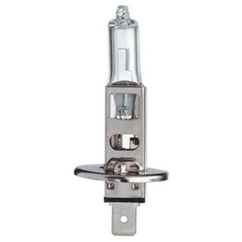 TUNGSRAM H1 12V 55W P14.5s Standard 1st. Lampe TUNGSRAM H1 12V 55W P14.5s Standard 1st. Lampe